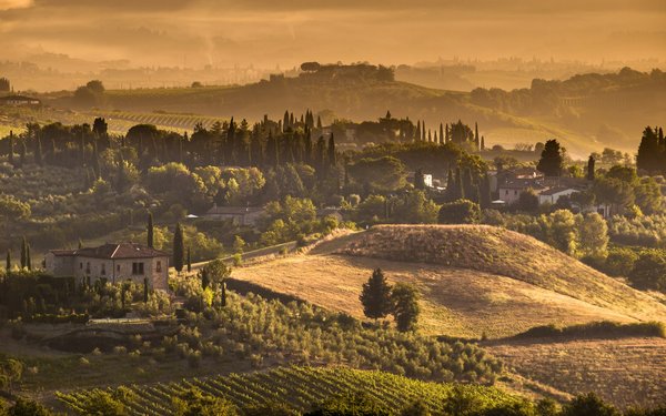 Comment choisir une location de vacances en Toscane avec des cours de cuisine et des visites de vignobles?